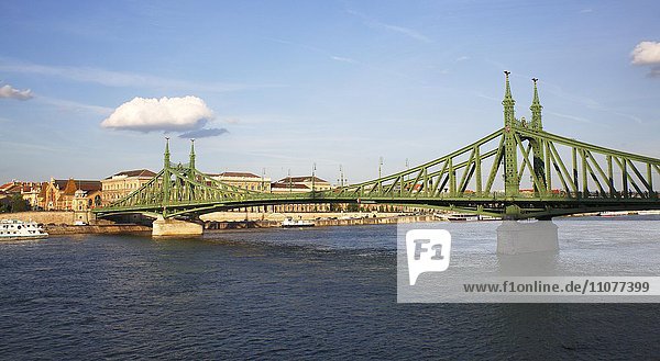 Freiheitsbrücke über die Donau im Abendlicht  Budapest  Ungarn  Europa