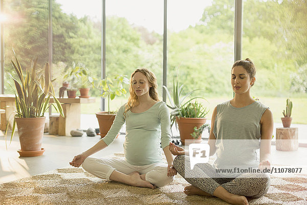 Schwangere Frauen meditieren in Lotusstellung