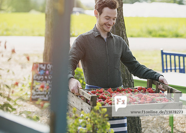 Lächelnde Pflanzengärtnerin mit Erdbeerkiste