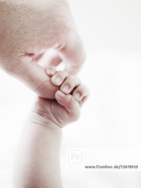 Neugeborenes Baby hält Erwachsene Hand