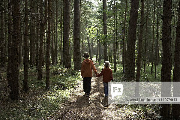 Jungen und Mädchen gehen auf einem Fußweg im Wald spazieren