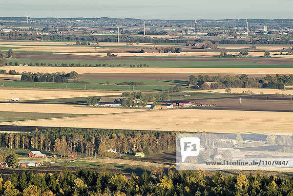 View of agricultural field with houses and wind turbines