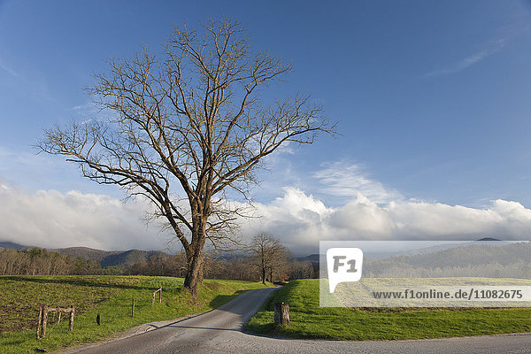 Landscape Great Smoky Mountains national park North Carolina USA