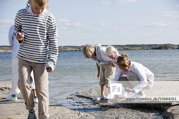 Children on beach looking for shells  Vastkusten  Sweden