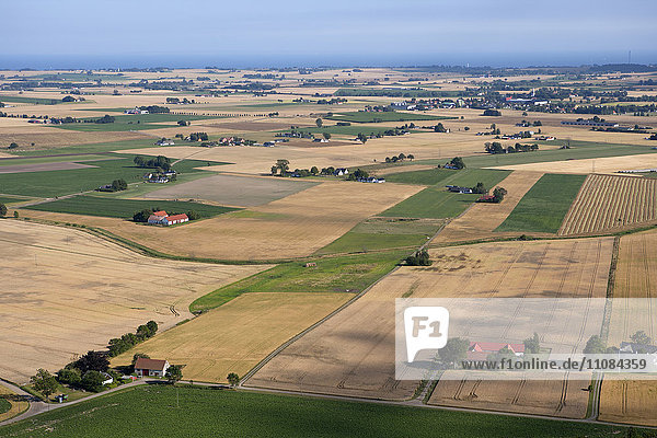 Aerial view of fields