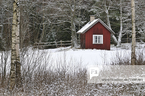 A red cabin in the winter
