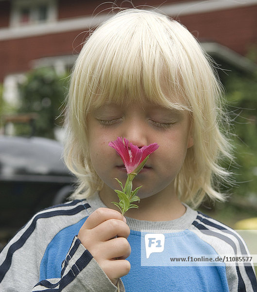 Junge riecht an Blume  Auge geschlossen