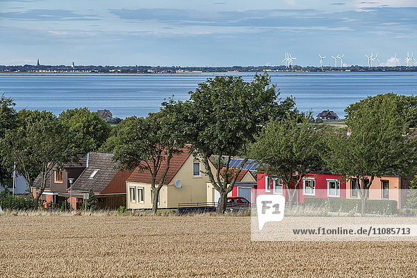 Blick über Heiligenhafen nach Fehmarn  Schleswig-Holstein  Deutschland  Europa