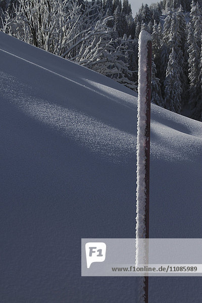 Gefrorener Mast auf schneebedecktem Berghang