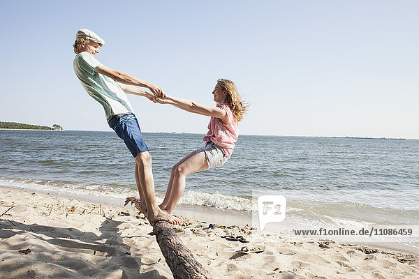 Friends holding hands while standing on driftwood at beach against clear sky