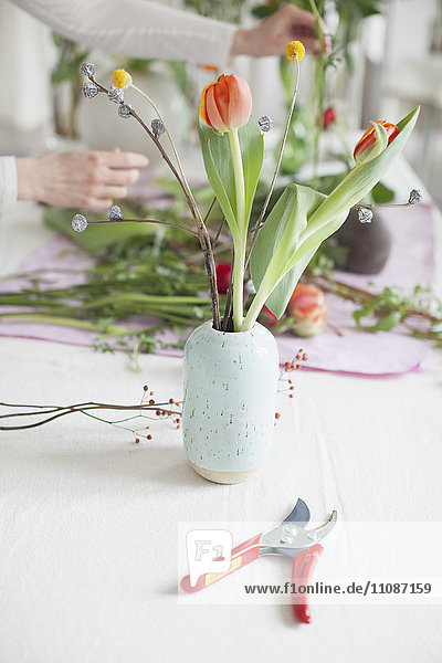 Baumschere mit Vase und Frau  die zu Hause Blumen im Hintergrund anordnet