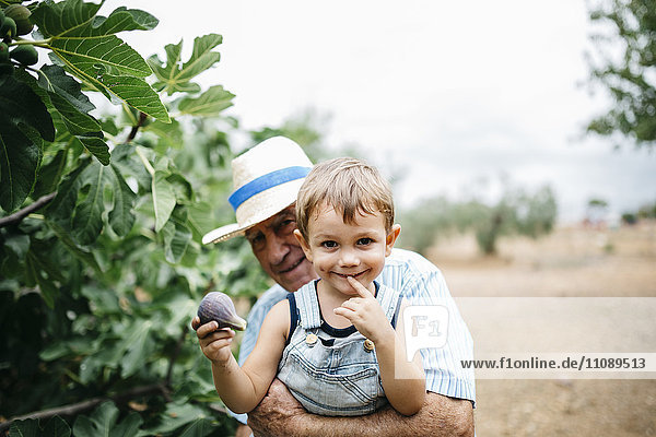 Portrait of happy little boy picking figs with his great-grandfather