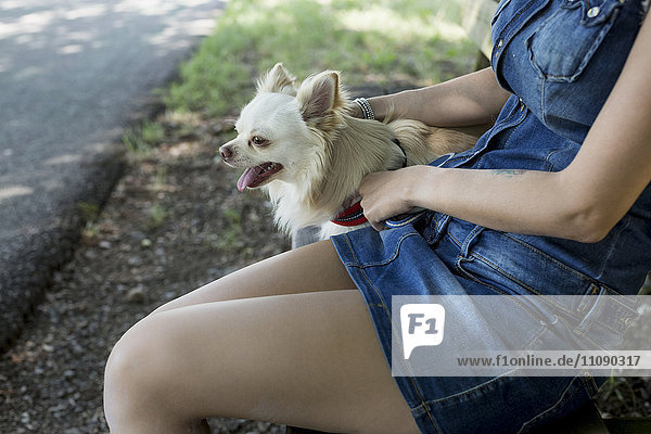Frau sitzt mit ihrem Chihuahua auf der Bank  Teilansicht