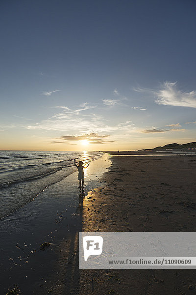 Holland  Westenschouwen  beach  girl on the beach at sunset