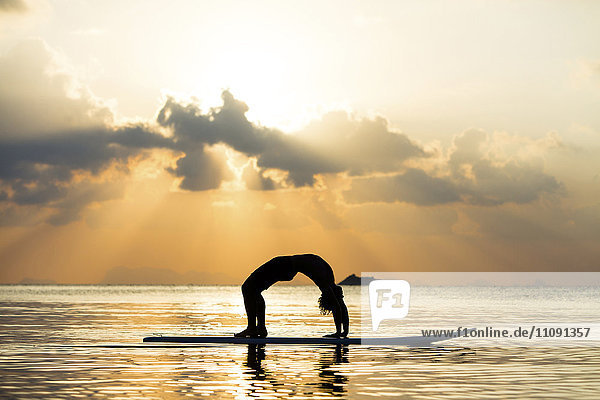 Thailand  Mann beim Yoga auf dem Paddelbrett bei Sonnenuntergang  Brückenposition