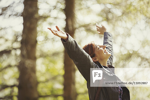 Exuberant woman hiking in sunny woods with head back and arms raised