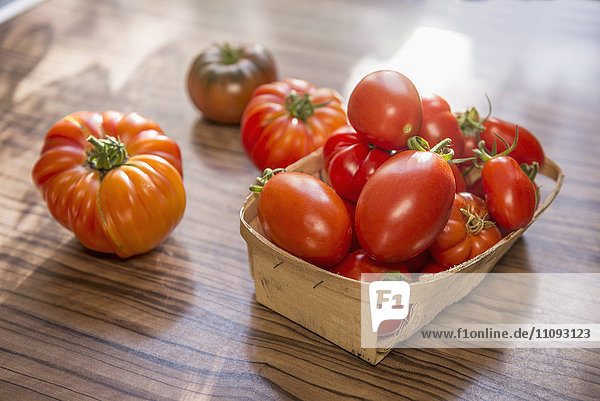 Nahaufnahme Tomaten in Korb auf Tisch  München  Bayern  Deutschland
