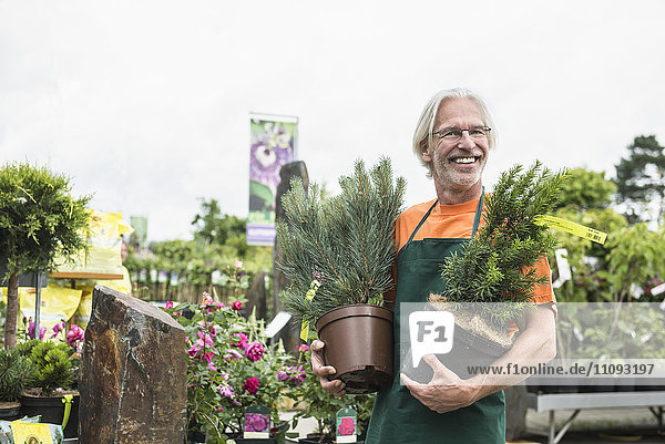 Männlicher Gärtner hält Pflanzentöpfe und lächelt  Augsburg  Bayern  Deutschland