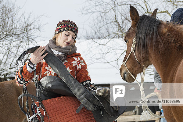 Junge Frau sattelt ihr Pferd zum Reiten in der Scheune  Bayern  Deutschland