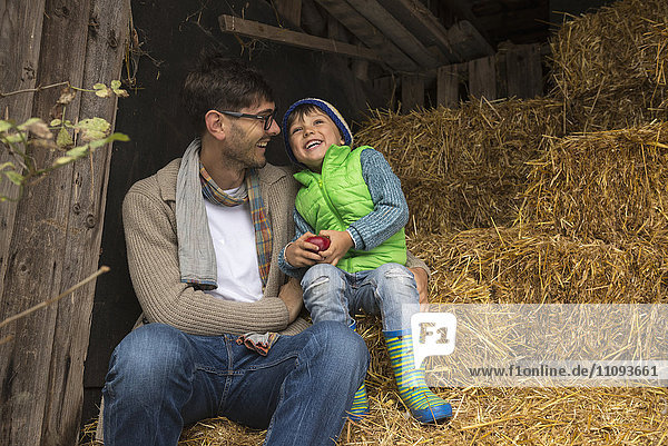 Vater und Sohn sitzen auf Stroh im Stall und lachen