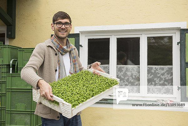 Porträt eines Biobauern  der eine Pflanzenkiste für Salat auf einem Bauernhof hält