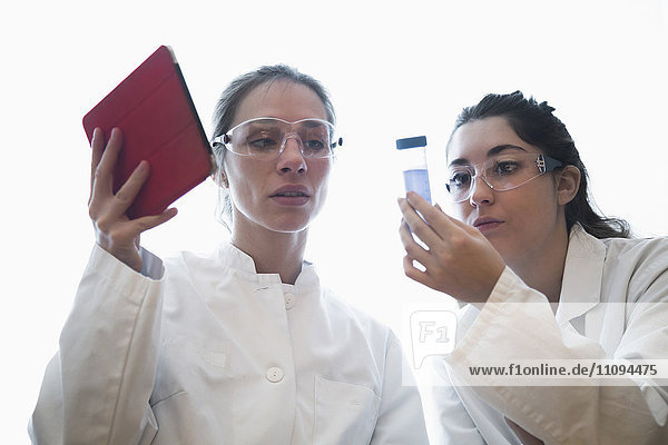 Female scientists in lab coat discussing medical sample