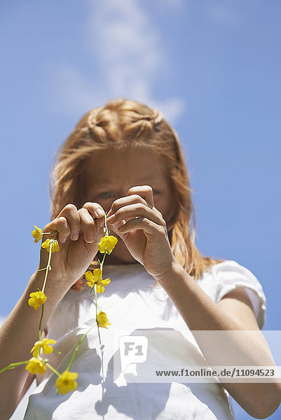 Tiefblick auf ein Mädchen  das eine Blumenkrone bastelt  München  Bayern  Deutschland