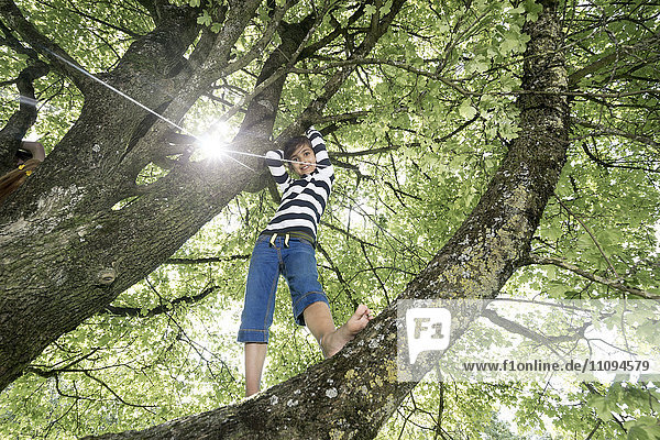 Mädchen klettert auf Baum und lächelt  München  Bayern  Deutschland