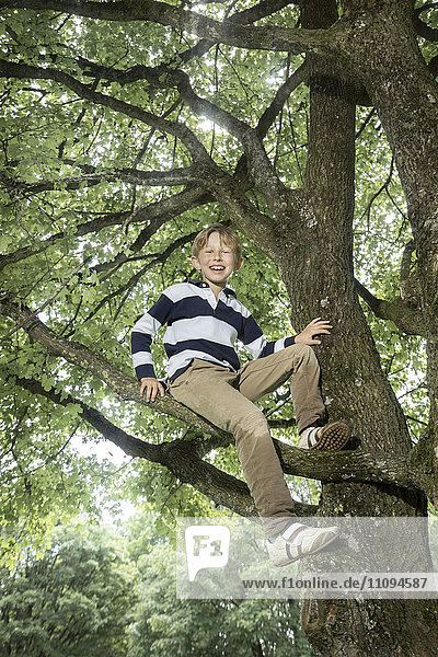Boy climbing on tree and smiling  Munich  Bavaria  Germany
