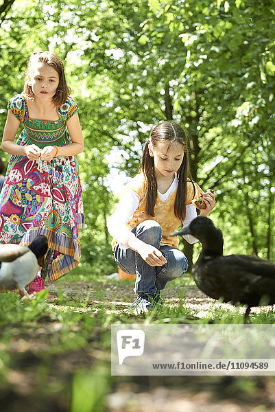 Zwei Mädchen füttern Enten im Park mit Brezeln  München  Bayern  Deutschland