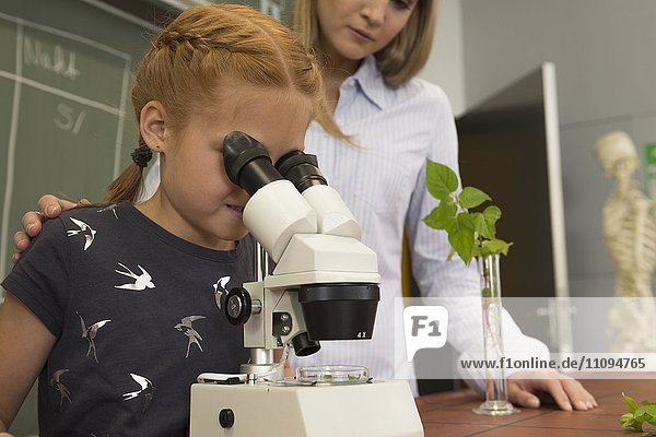 School girl with teacher looking through a microscope  Fürstenfeldbruck  Bavaria  Germany