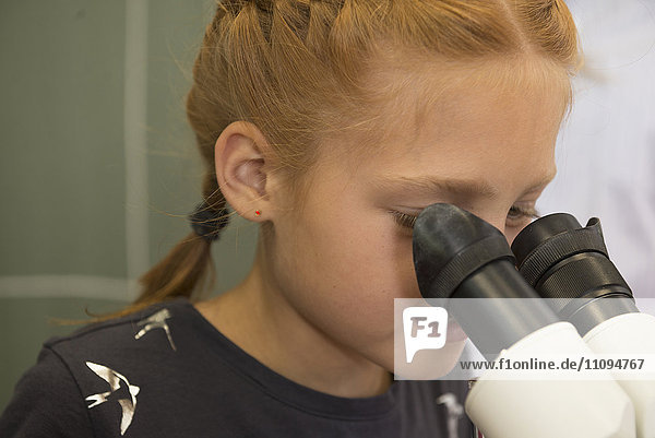 School girl looking through a microscope  Fürstenfeldbruck  Bavaria  Germany