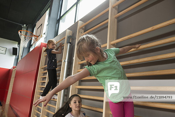 Drei Mädchen trainieren an der Sprossenwand in einer großen Turnhalle  München  Bayern  Deutschland