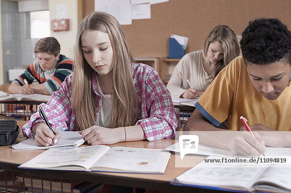 Studenten beim Lernen im Klassenzimmer  Bayern  Deutschland