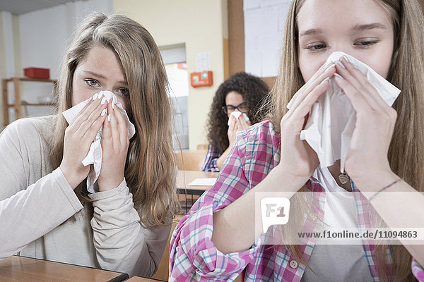 University students blowing nose with handkerchief  Bavaria  Germany