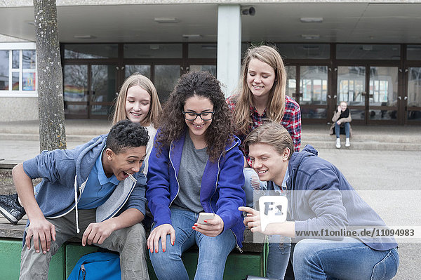 Universitätsstudenten  die sich mit ihrem Handy auf dem Campus vergnügen  Bayern  Deutschland