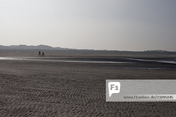Couple biking on the beach  Renesse  Schouwen-Duiveland  Zeeland  Netherlands