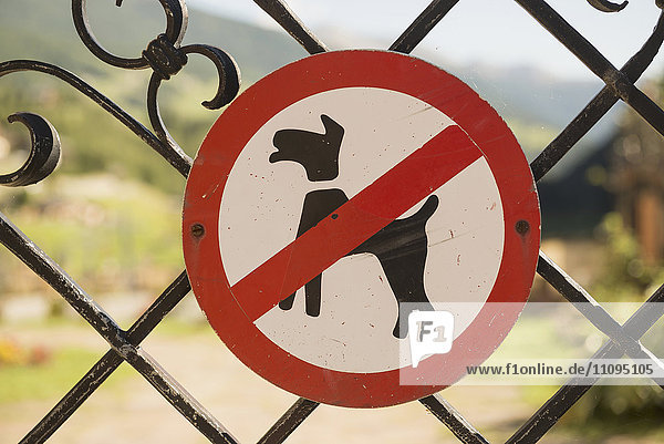 Schild Hunde verboten am Tor  Kärnten  Österreich