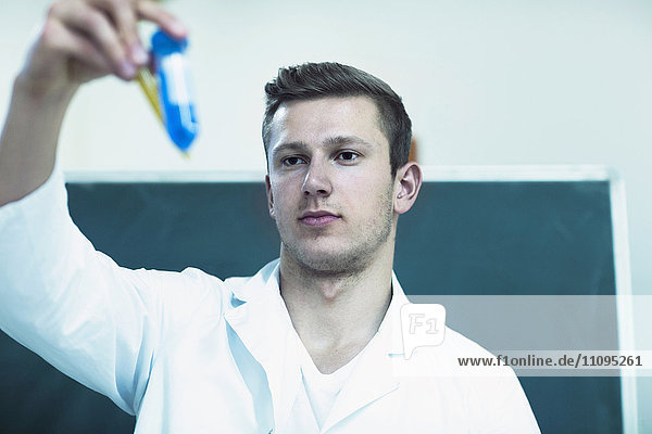 Young male chemistry teacher closely observing the solutions in classroom  Freiburg Im Breisgau  Baden-Württemberg  Germany
