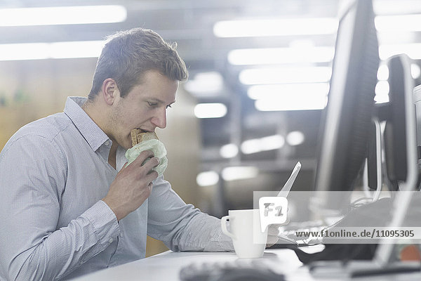 Young businessman eating toasted bread and reading document in office  Freiburg im Breisgau  Baden-Württemberg  Germany