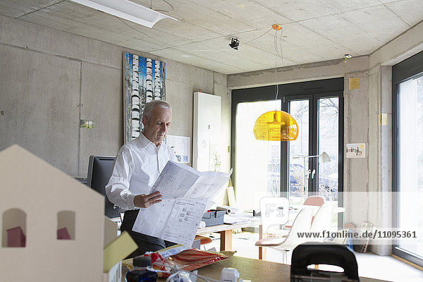 Ein älterer Geschäftsmann betrachtet einen Bauplan im Büro  Freiburg im Breisgau  Baden-Württemberg  Deutschland