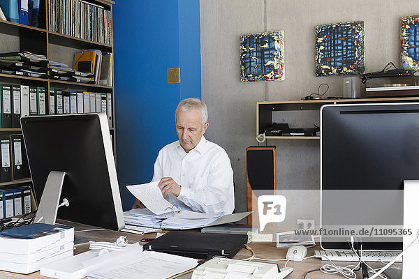 Senior businessman working in the office  Freiburg im Breisgau  Baden-Württemberg  Germany