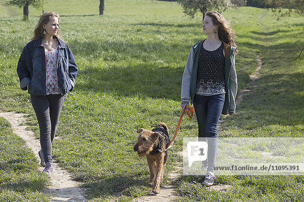 Teenager-Mädchen beim Spaziergang mit ihrem Hund  Freiburg im Breisgau  Baden-Württemberg  Deutschland