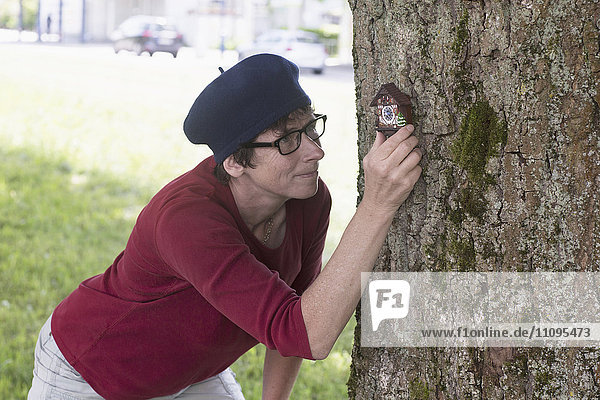 Mature woman attaching wall clock in tree trunk  Freiburg im Breisgau  Baden-Württemberg  Germany