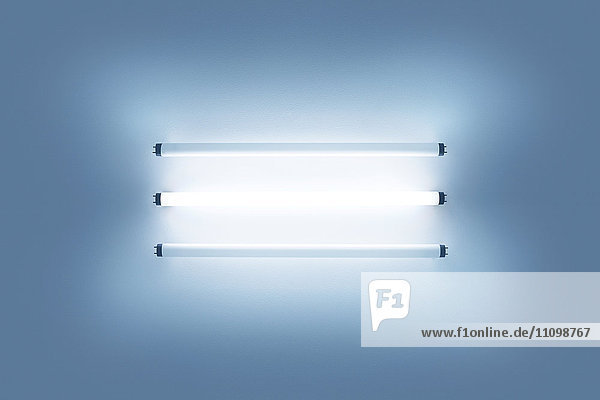Fluorescent Lights