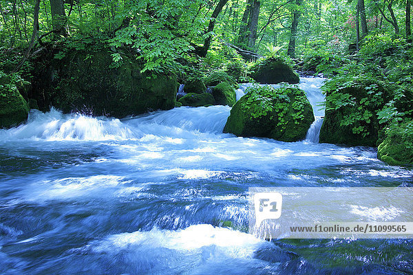 Oirase Fluss