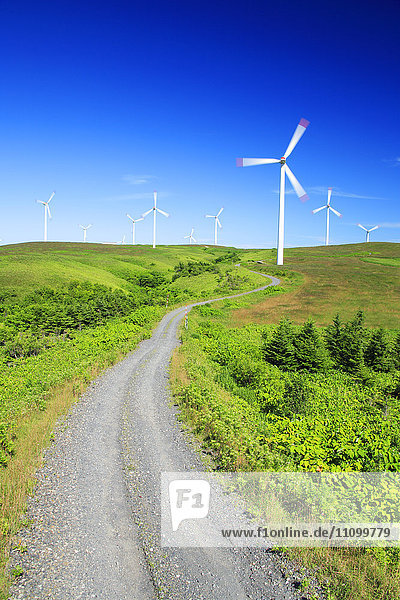 Windpark und ländliche Straße