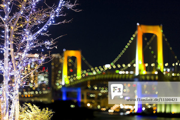 Rainbow Bridge and Christmas Lights