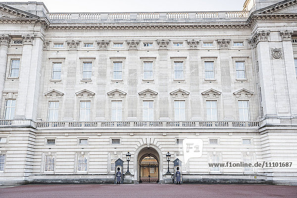 Grenadier Guards at Buckingham Palace  London  England  United Kingdom  Europe