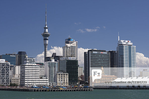 Auckland Sky Tower and city skyline  North Island  New Zealand  Pacific